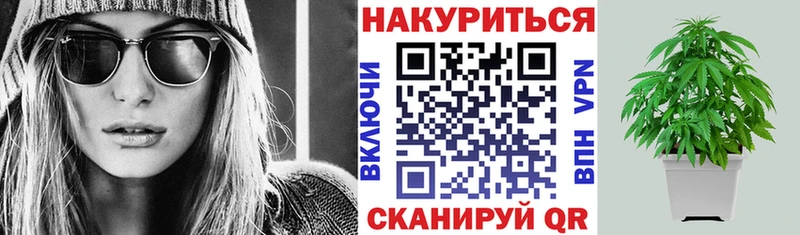 закладка  Первомайск  mega маркетплейс  Канабис индика 